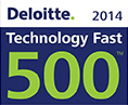 Deloitte 500